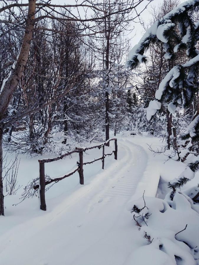 Bakkakot 2 - Cozy Cabins In The Woods Akureyri Exterior photo