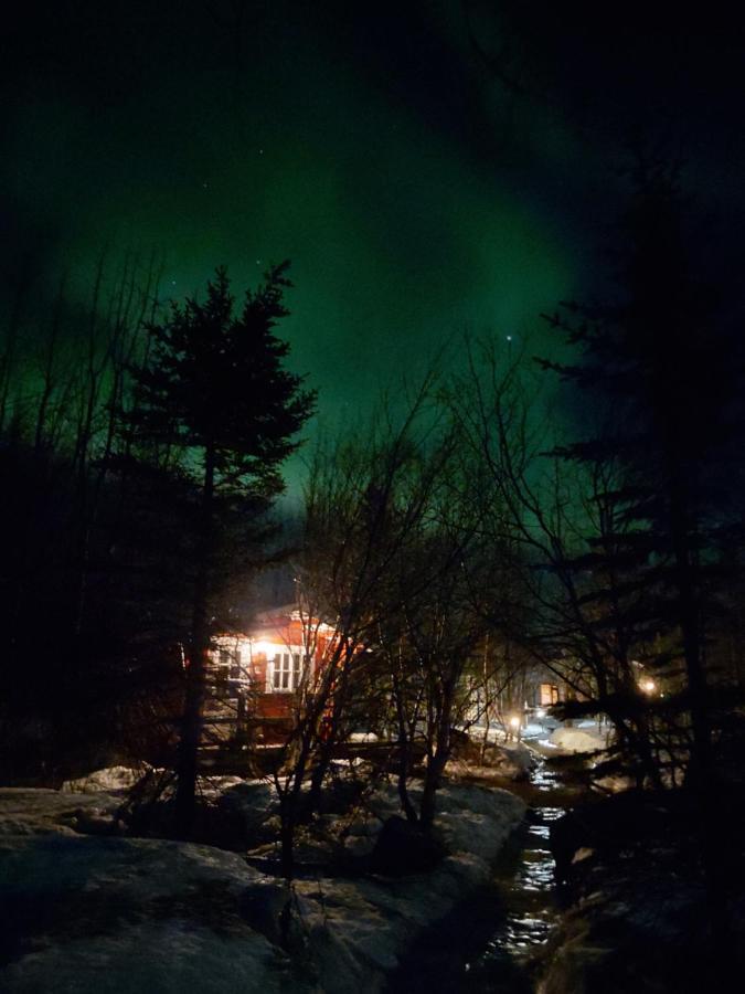 Bakkakot 2 - Cozy Cabins In The Woods Akureyri Exterior photo