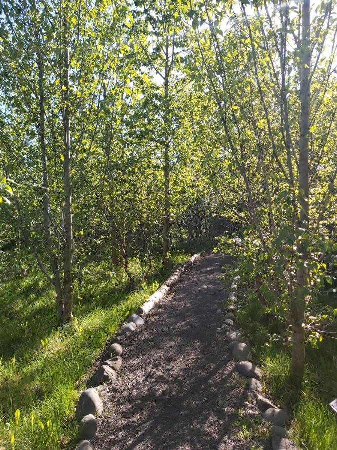 Bakkakot 2 - Cozy Cabins In The Woods Akureyri Exterior photo